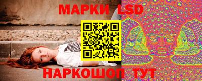 прущие грибы Партизанск