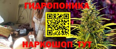 прущие грибы Партизанск