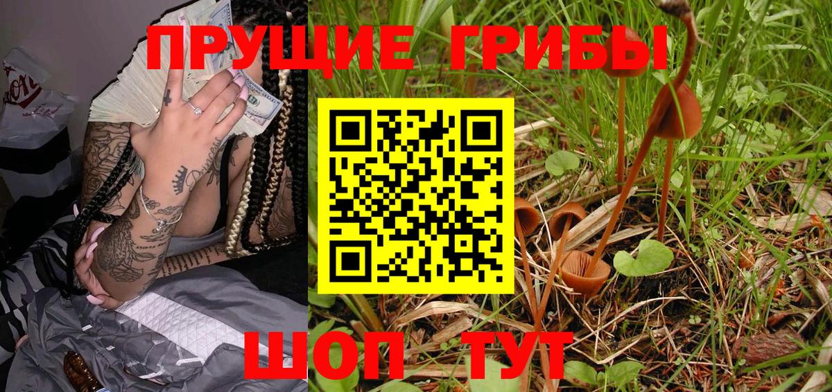 Новокубанск  Псилоцибиновые грибы MAGIC MUSHROOMS  Вход с VPN 